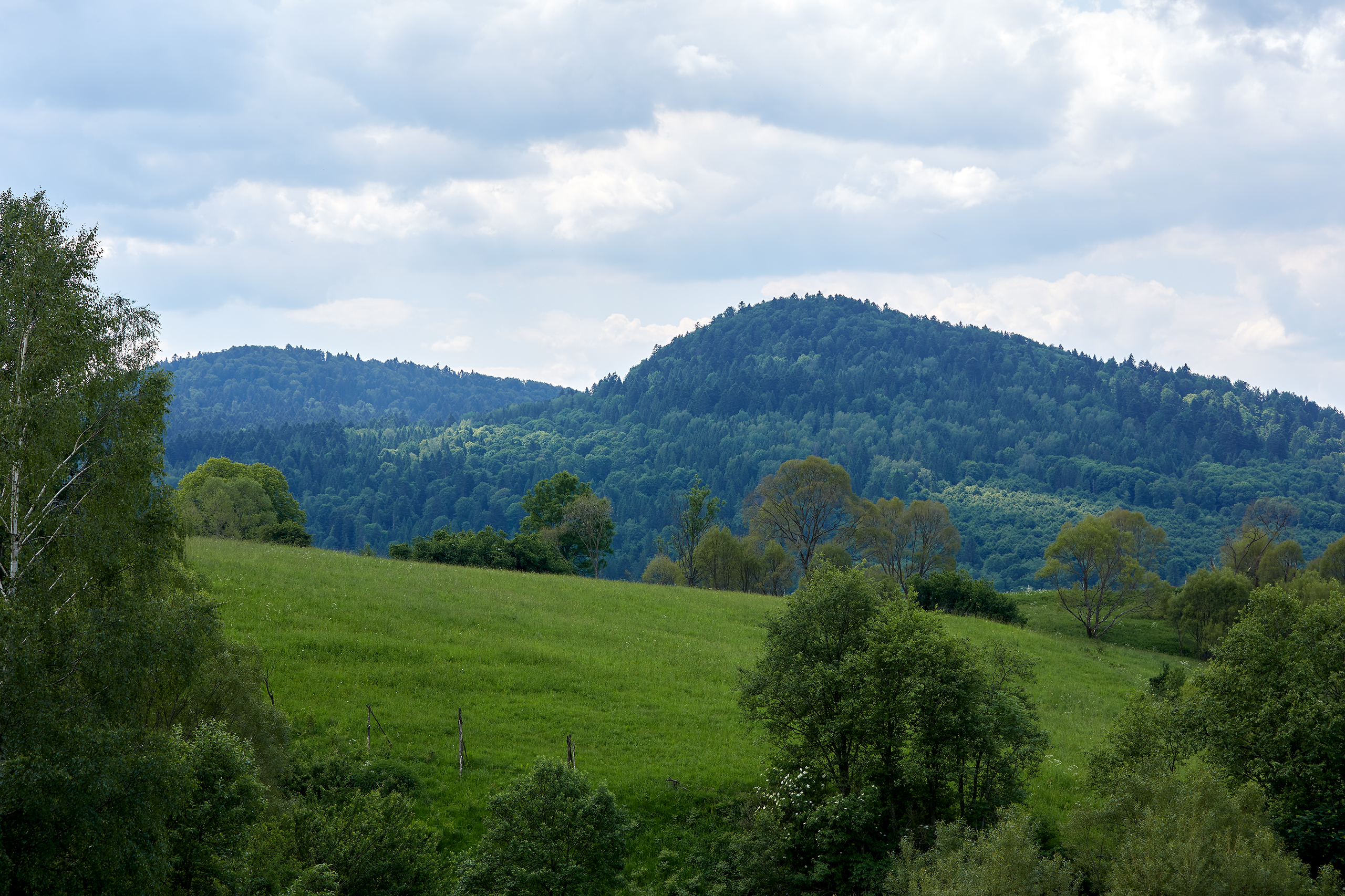 AgaKrzysiek Bieszczady Q8A8801