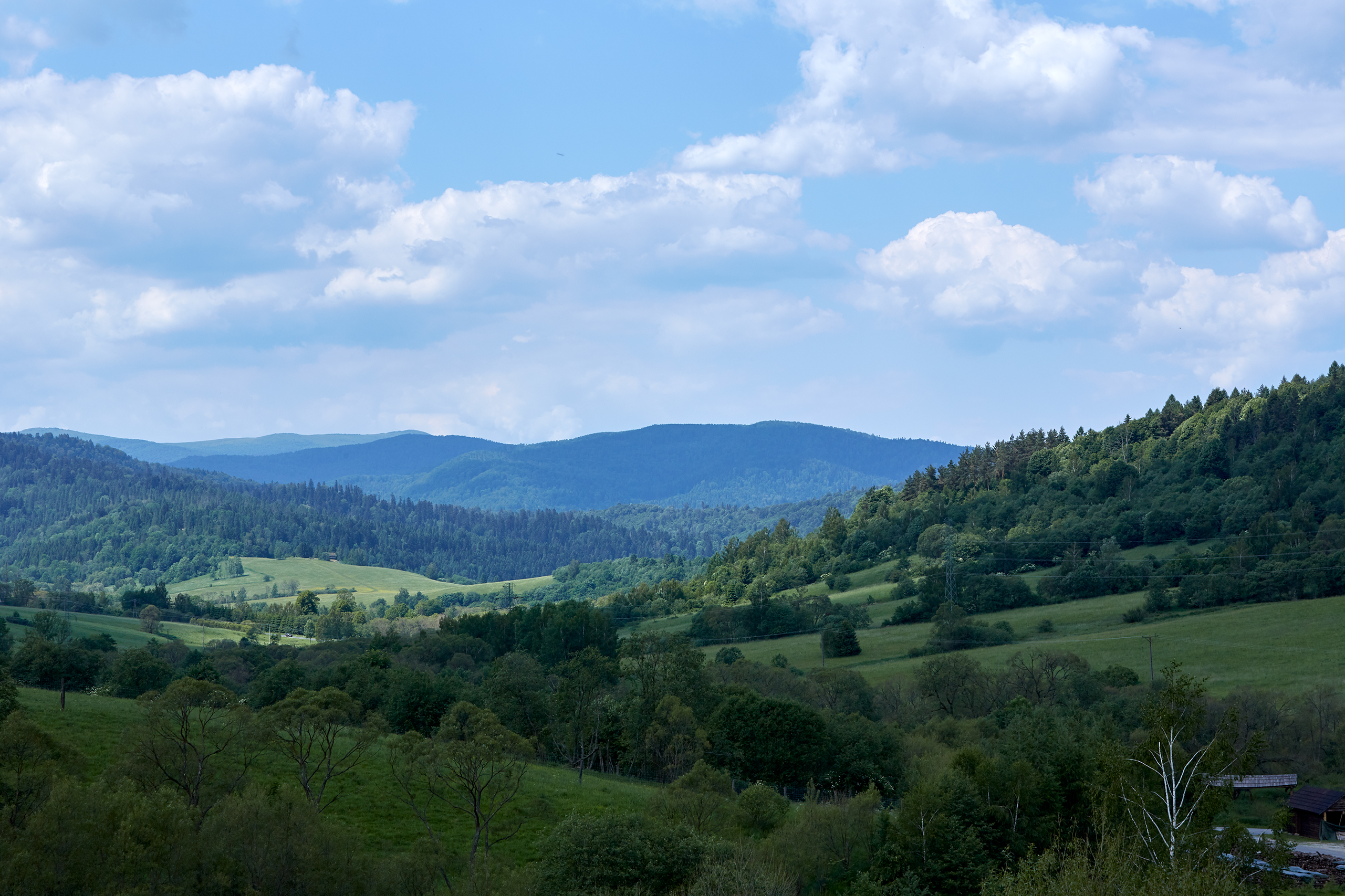 AgaKrzysiek Bieszczady Q8A8806