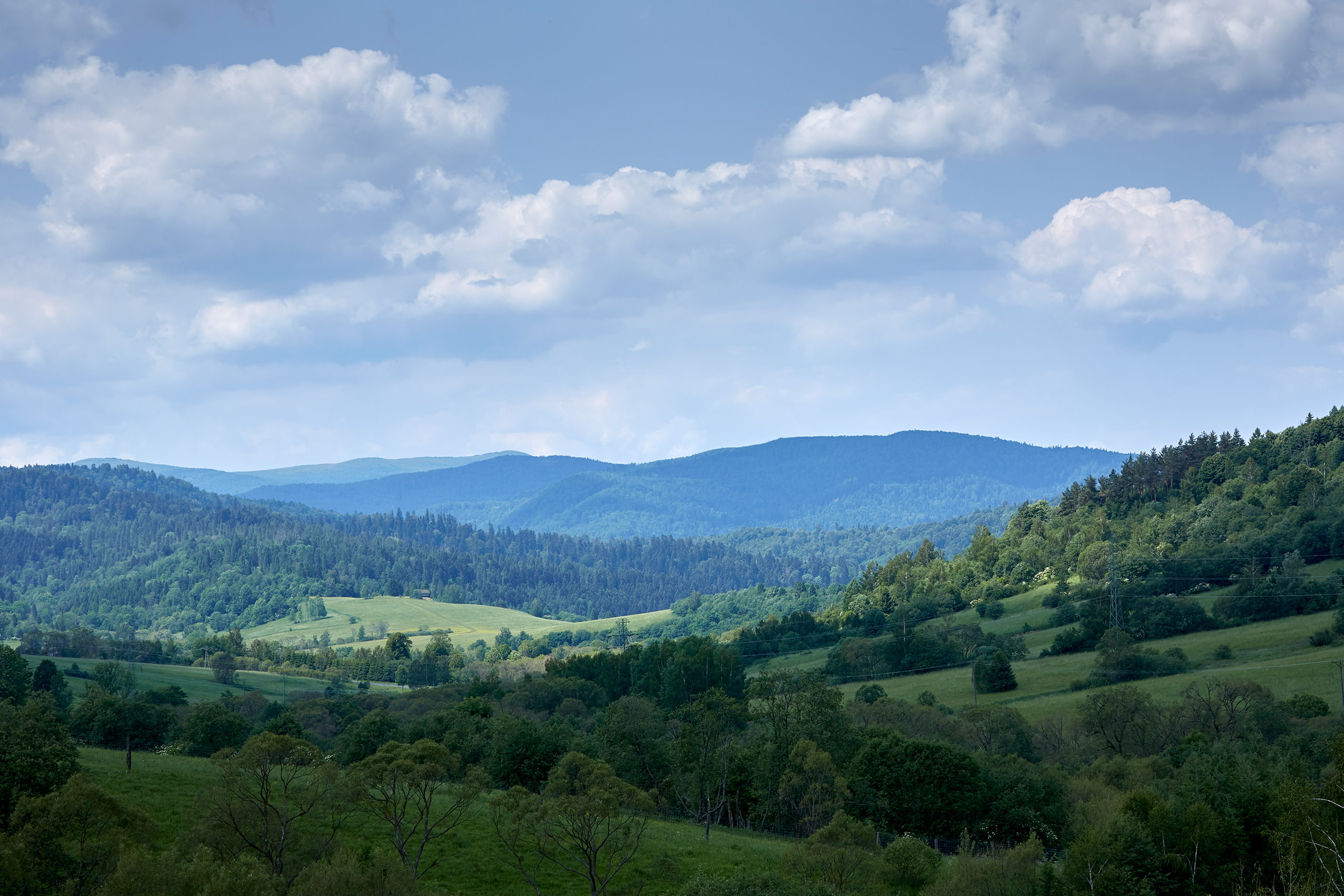 AgaKrzysiek Bieszczady Q8A8807