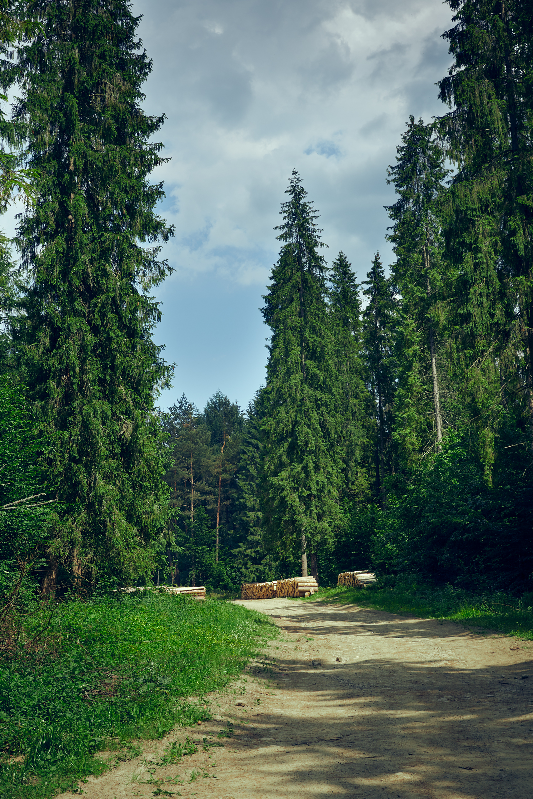 AgaKrzysiek Bieszczady Q8A8872