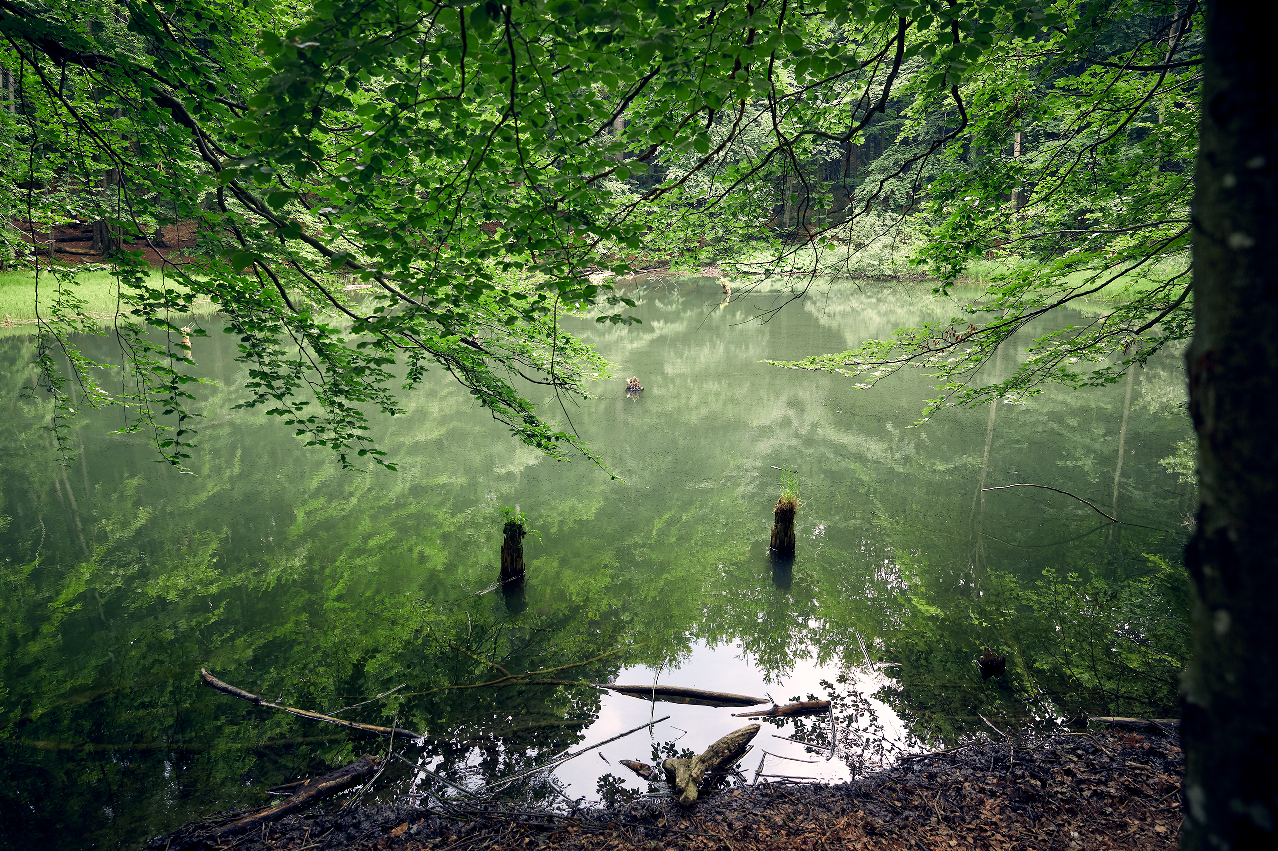 AgaKrzysiek Bieszczady Q8A8898