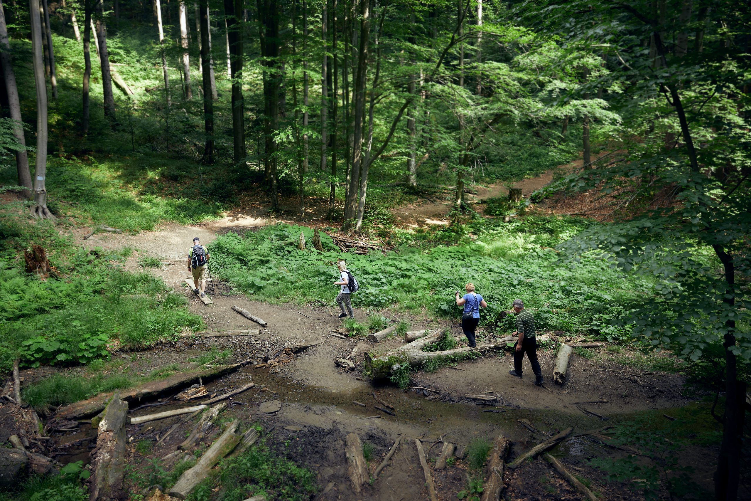 AgaKrzysiek Bieszczady Q8A8978