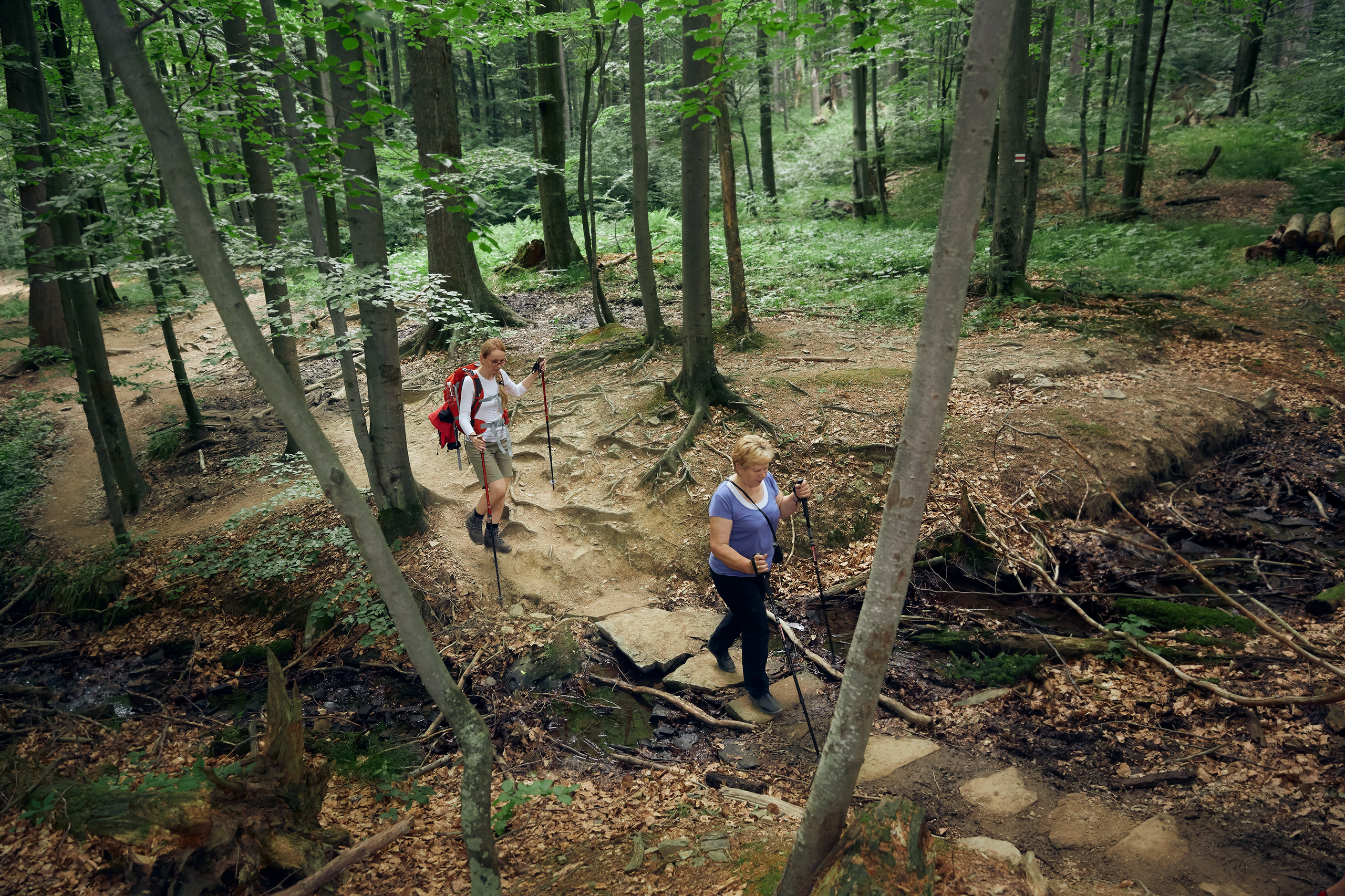 AgaKrzysiek Bieszczady Q8A8993