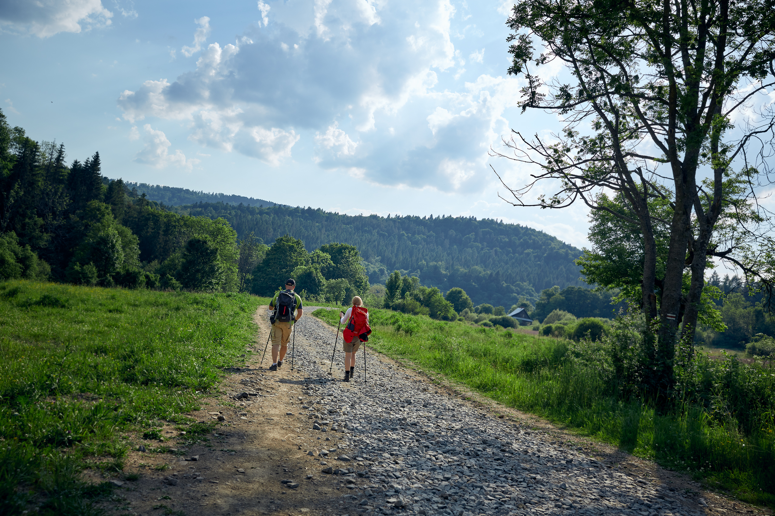 AgaKrzysiek Bieszczady Q8A9110